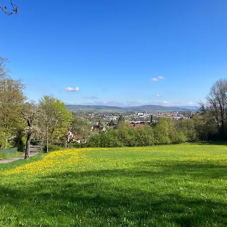Apartment Moderne Studiowohnung In Mit Küche Und Innenhof