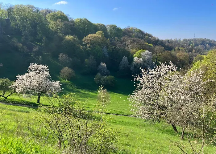 Moderne Studiowohnung In Mit Küche Und Innenhof Coburg