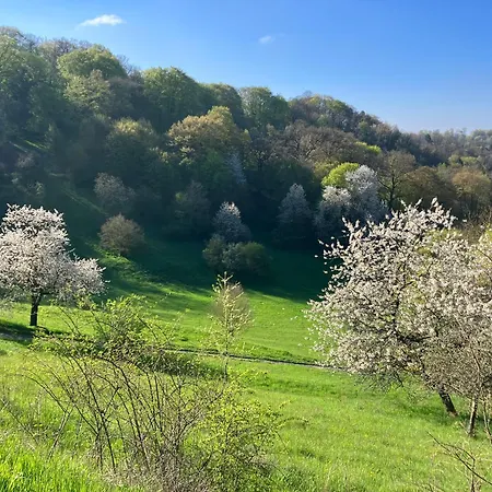Moderne Studiowohnung In Mit Kueche Und Innenhof 科堡